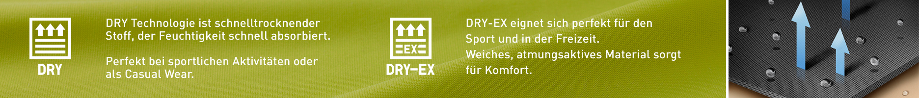 Dry Ex Info