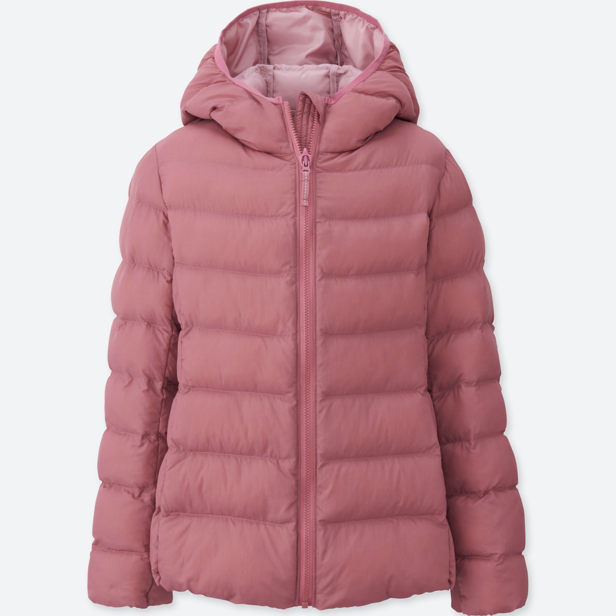 优衣库防风衣_和平精英黄金风衣图片(3)