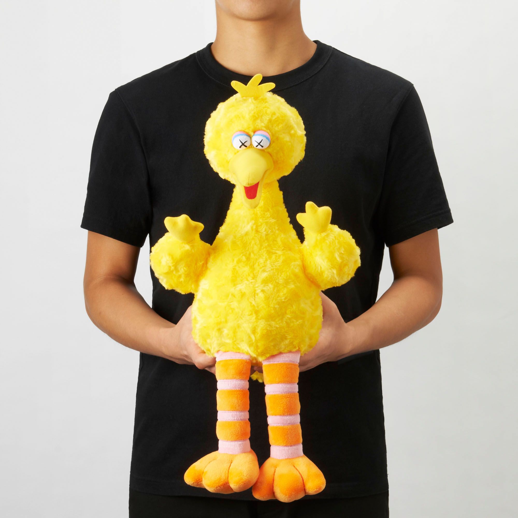 big bird kaws