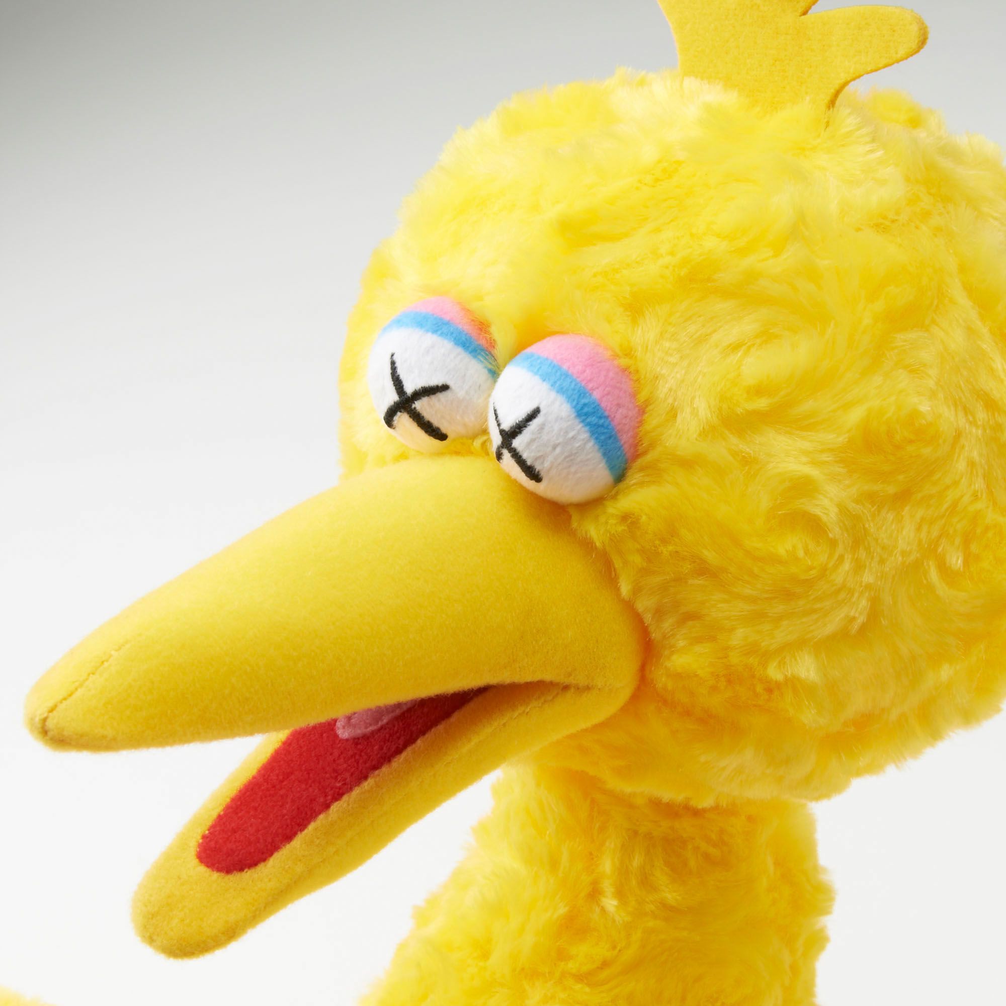 big bird kaws